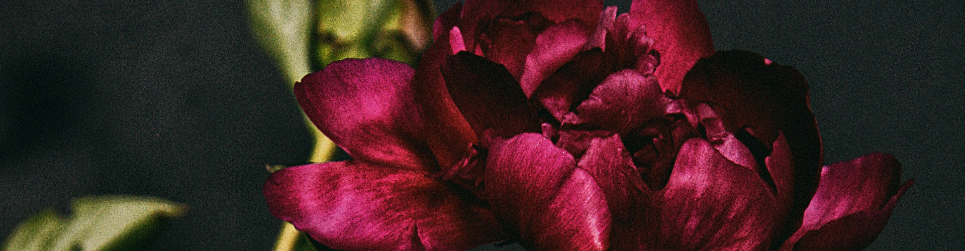 What remains of your identity when everything is taken?